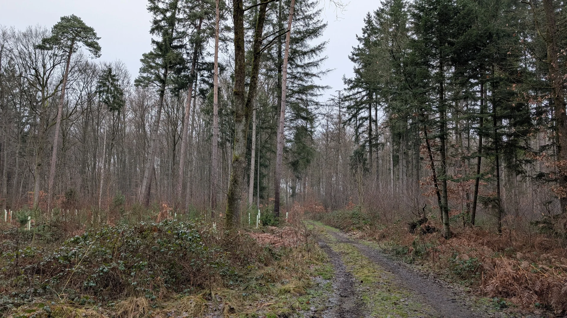 © DAV Sektion Paderborn