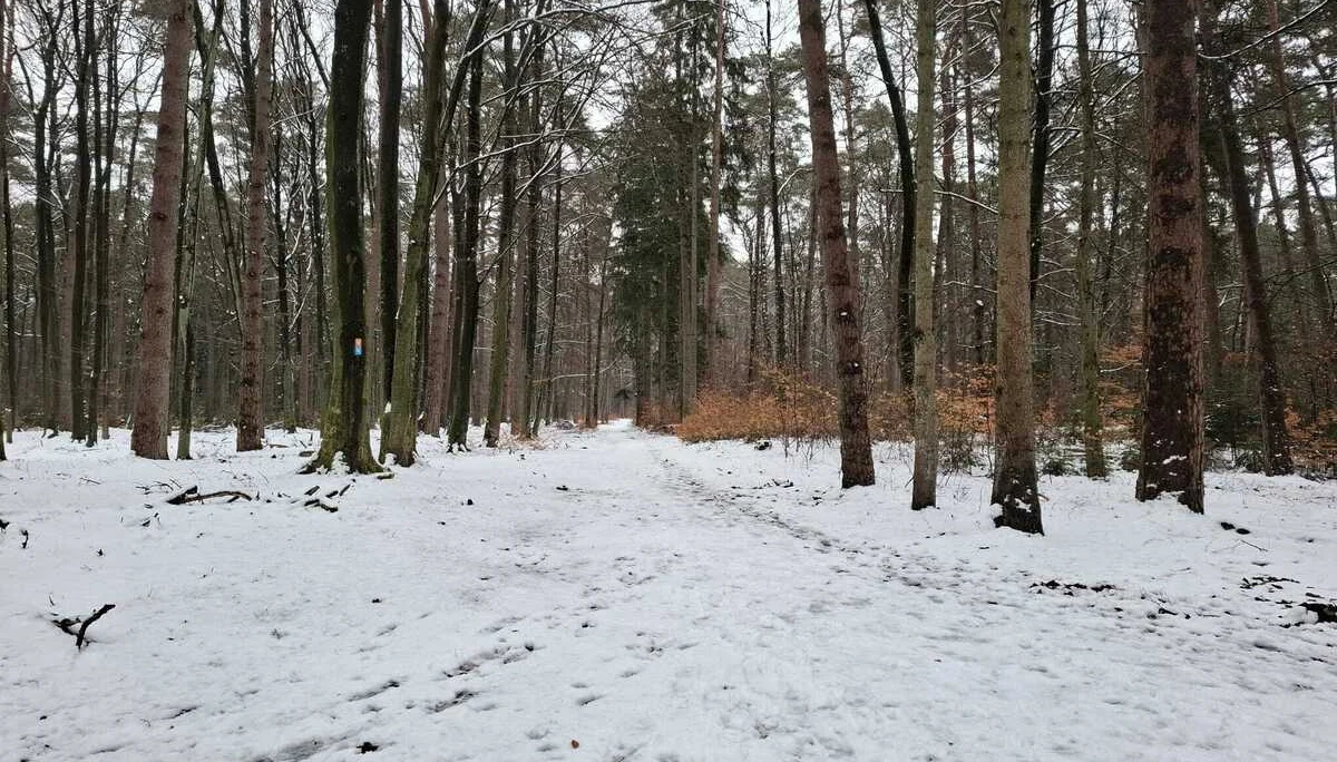 © DAV Sektion Paderborn