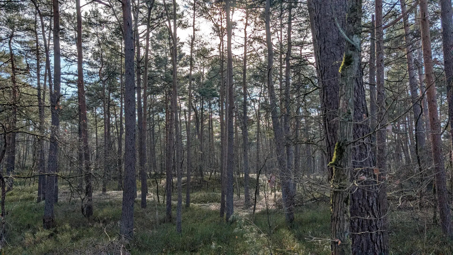 © DAV Sektion Paderborn