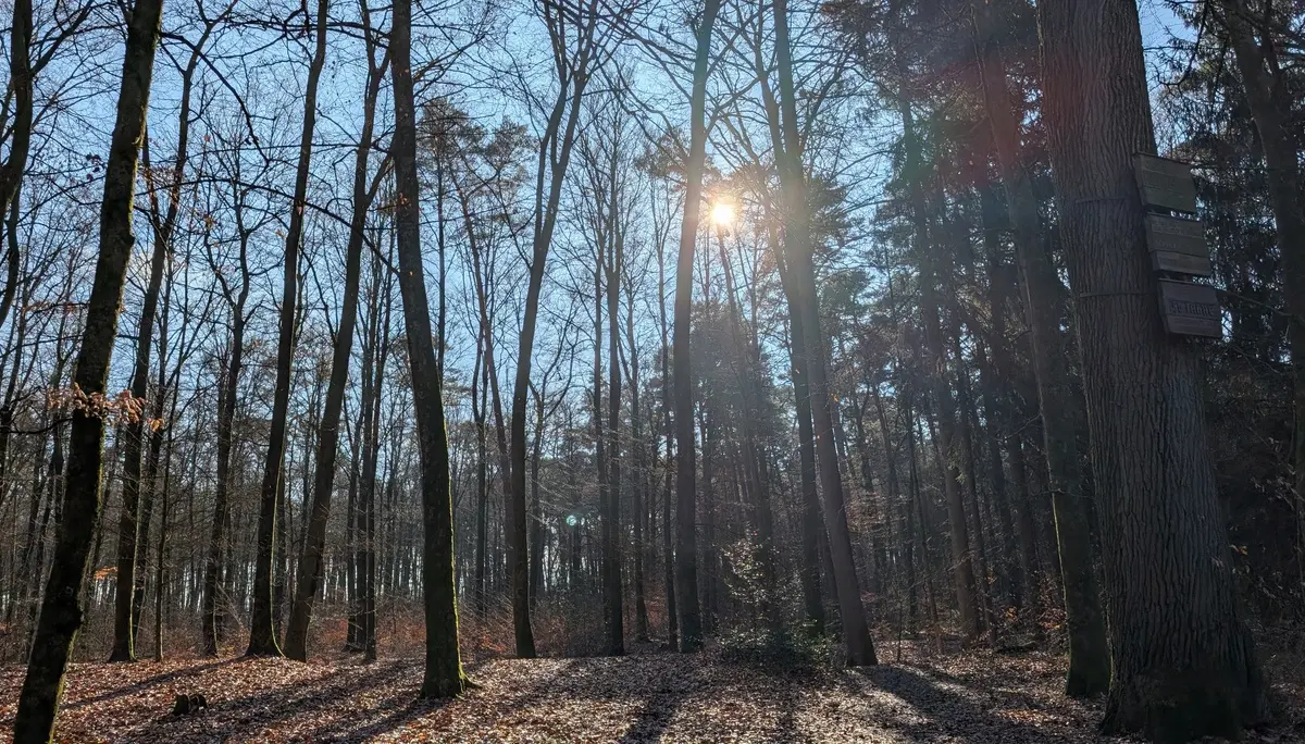 © DAV Sektion Paderborn