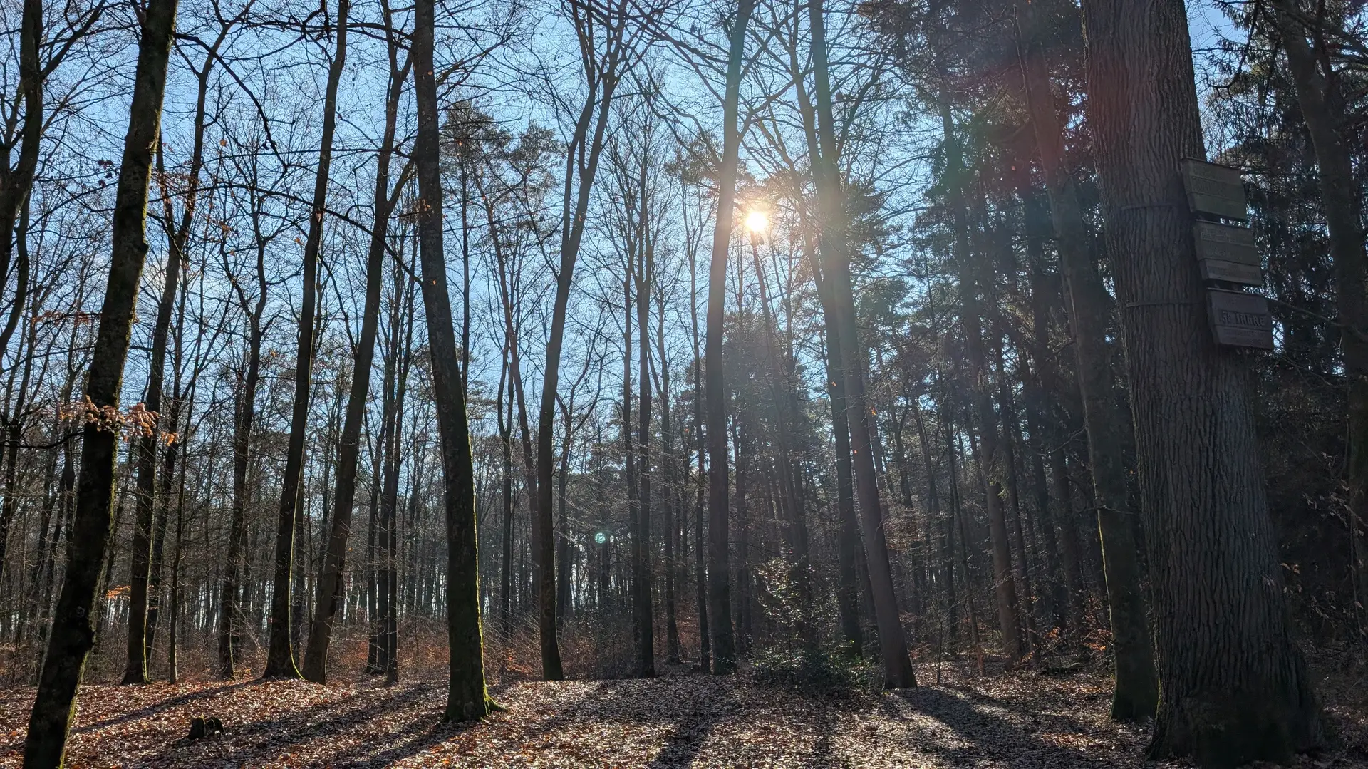 © DAV Sektion Paderborn