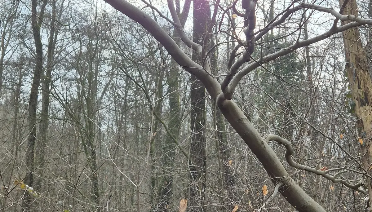 © DAV Sektion Paderborn