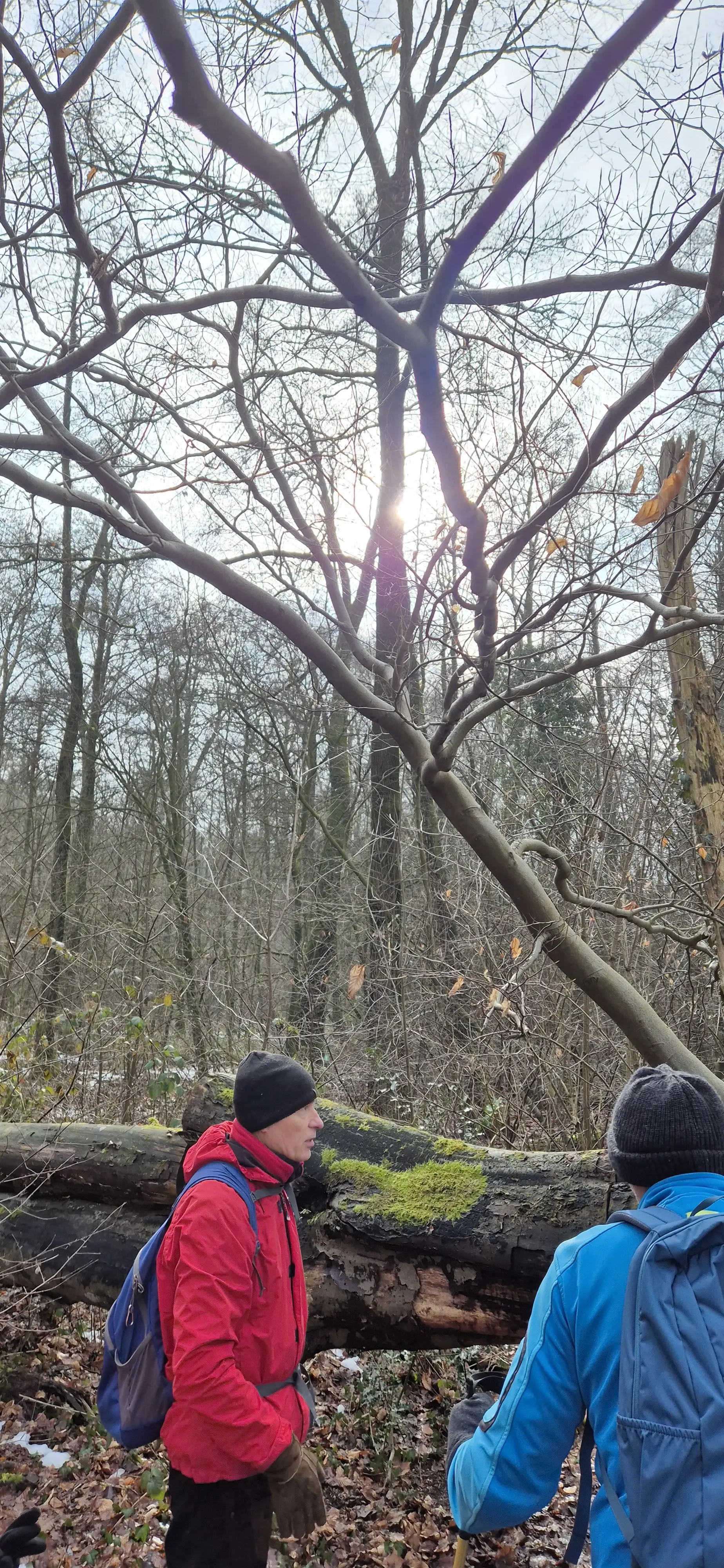 © DAV Sektion Paderborn