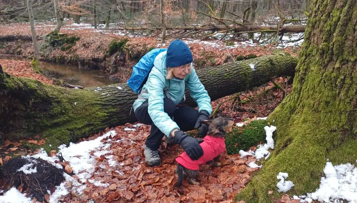 © DAV Sektion Paderborn