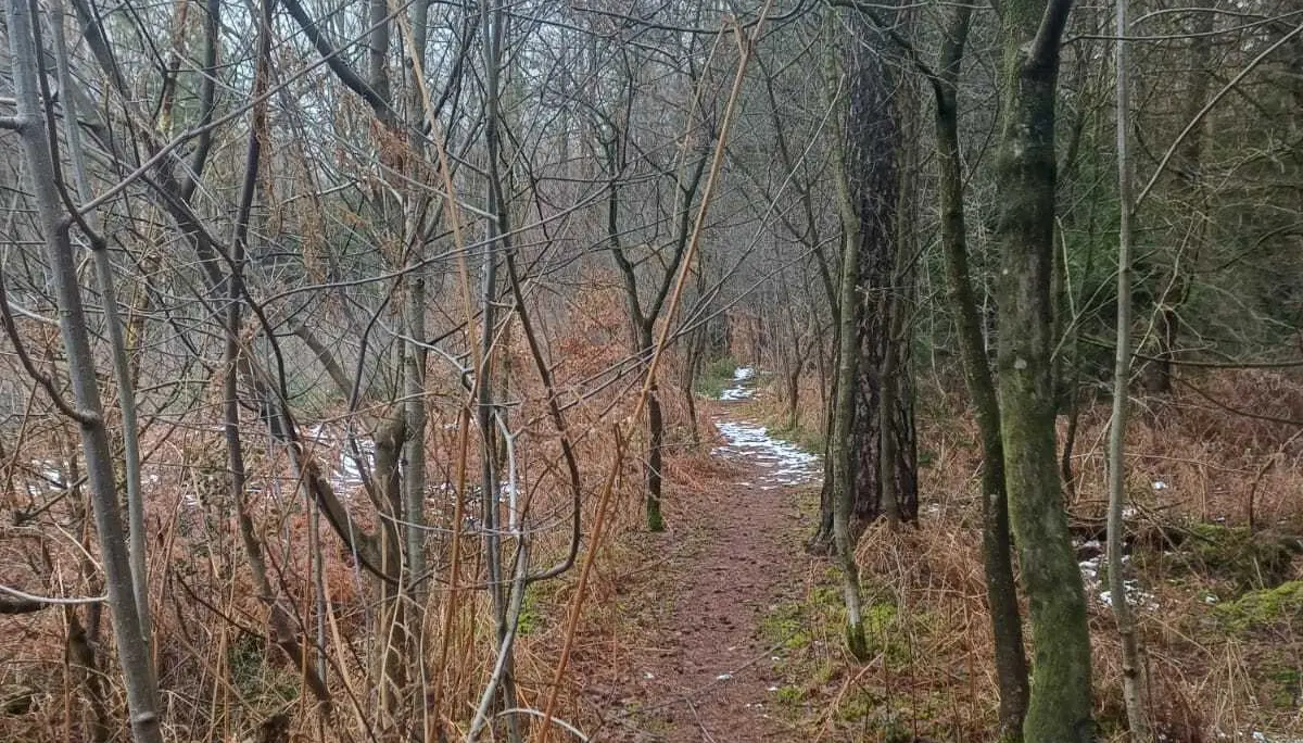 © DAV Sektion Paderborn