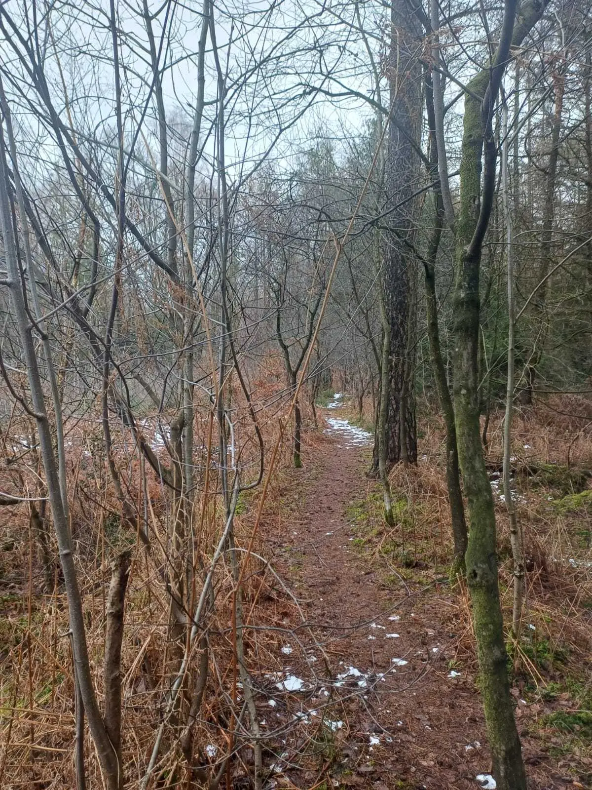 © DAV Sektion Paderborn