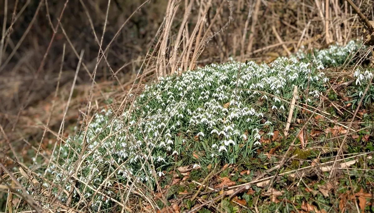 © DAV Sektion Paderborn