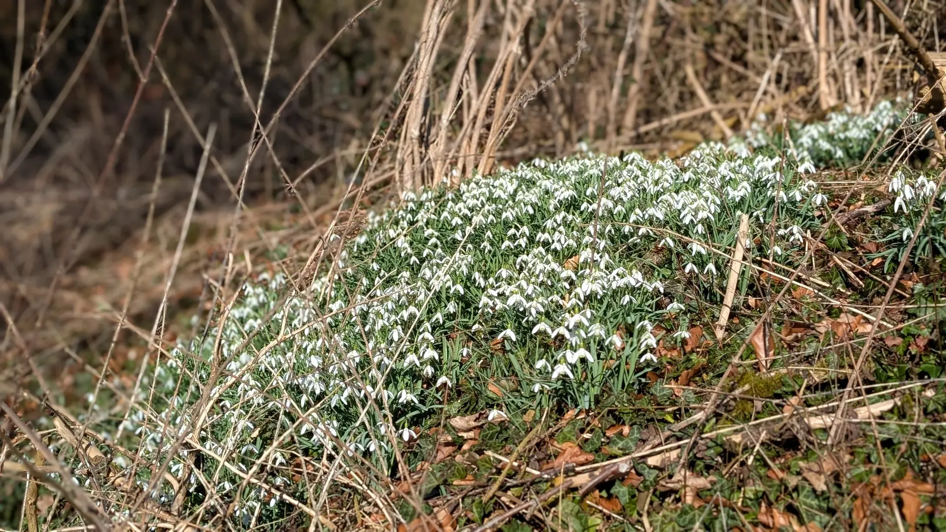 © DAV Sektion Paderborn