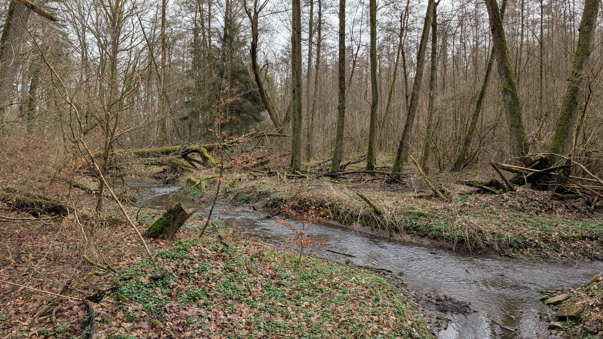 © DAV Sektion Paderborn