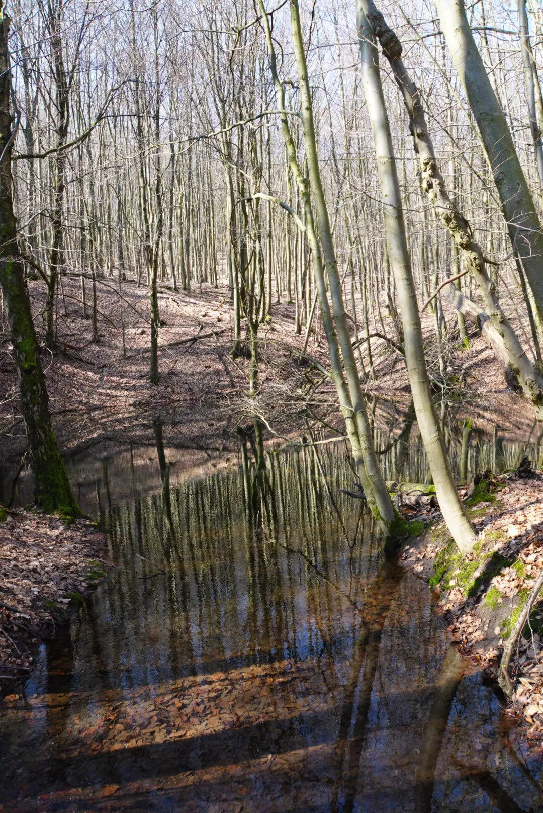 © DAV Sektion Paderborn