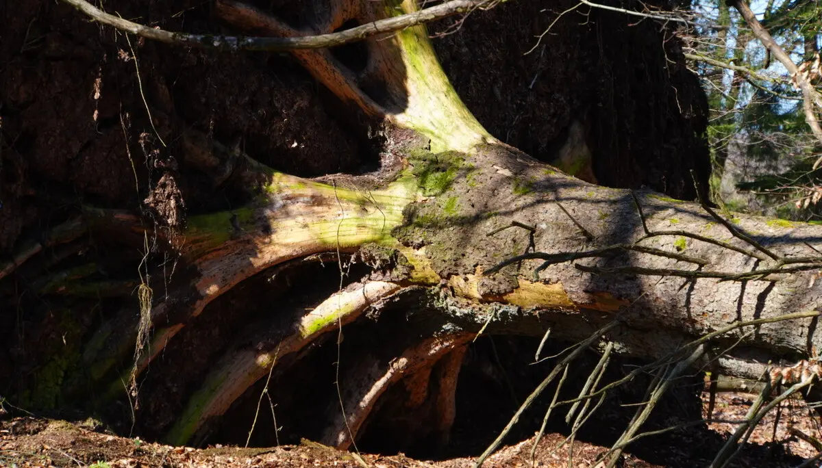 © DAV Sektion Paderborn