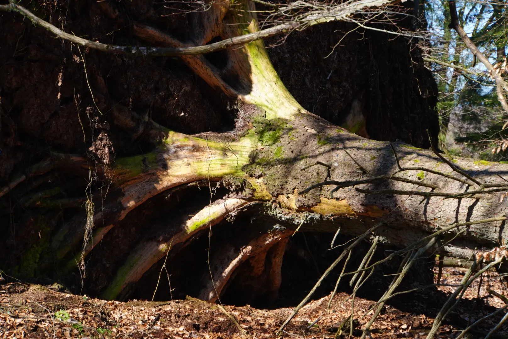 © DAV Sektion Paderborn