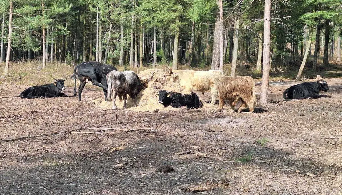 © DAV Sektion Paderborn