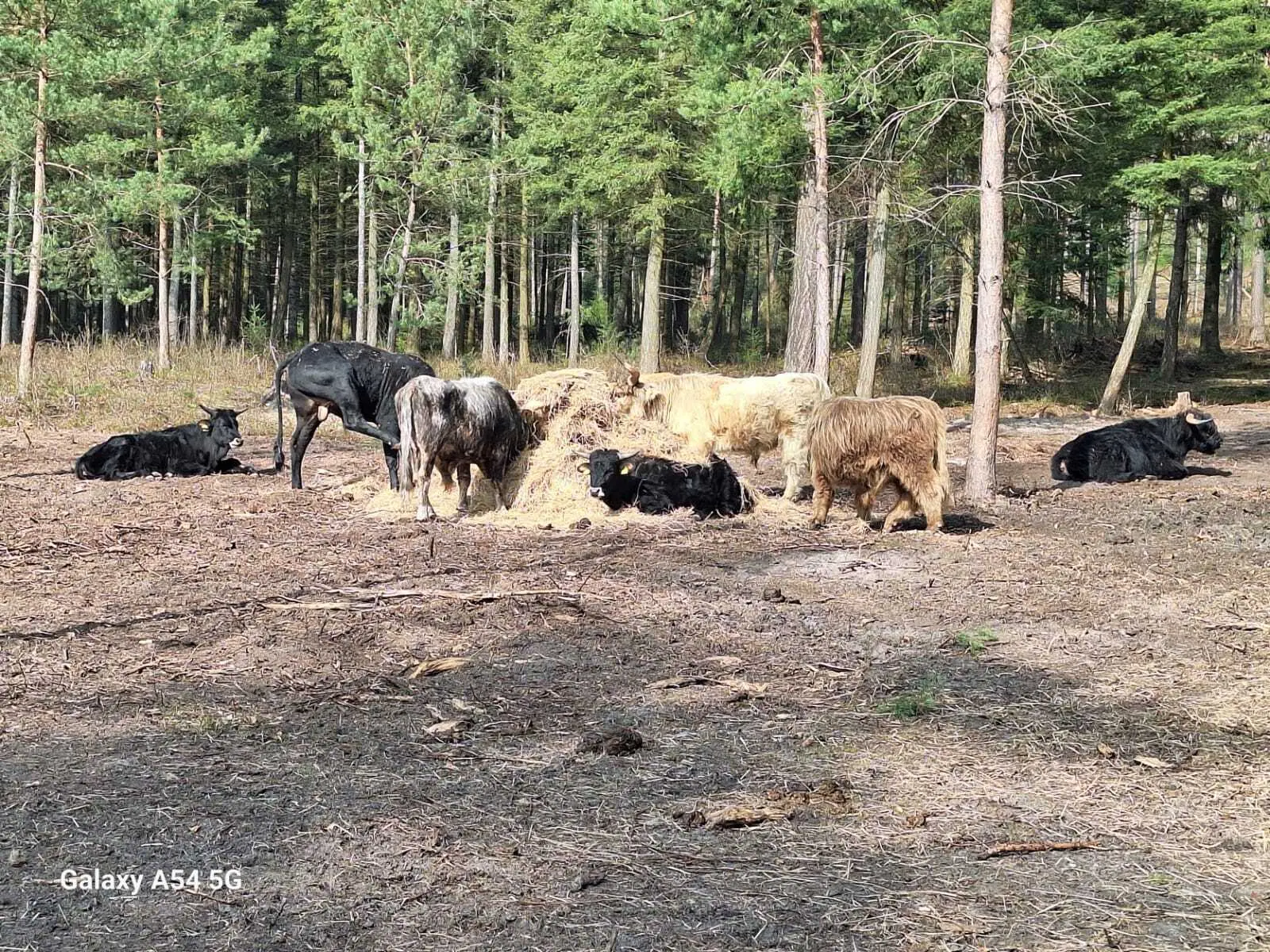 © DAV Sektion Paderborn