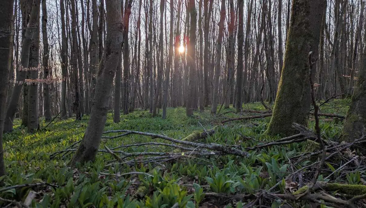 © DAV Sektion Paderborn