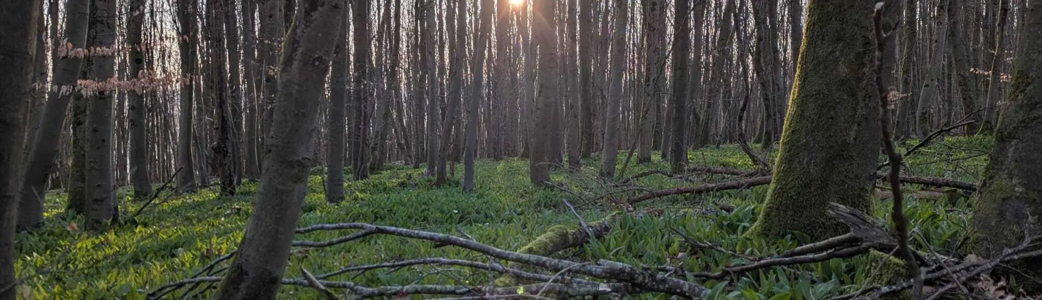 © DAV Sektion Paderborn