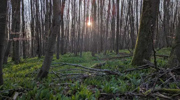 © DAV Sektion Paderborn