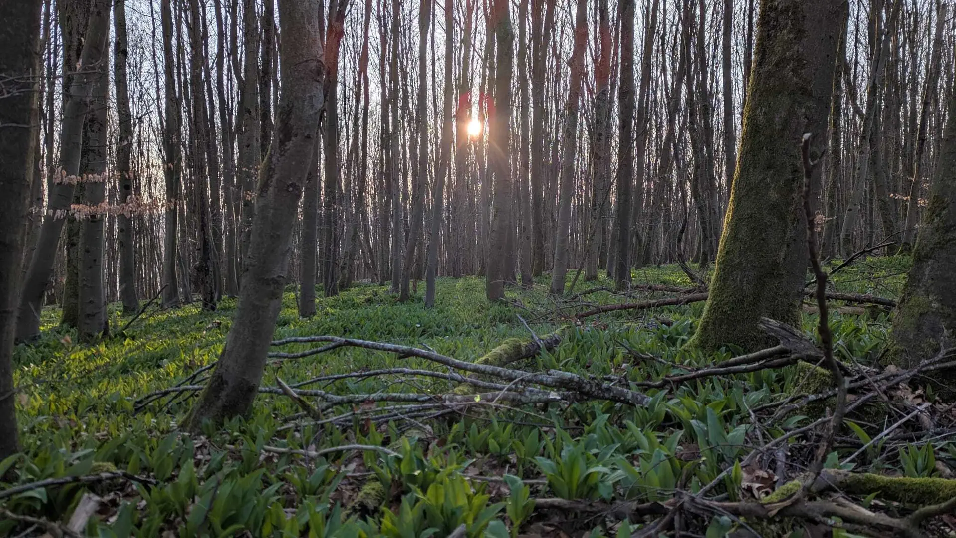 © DAV Sektion Paderborn