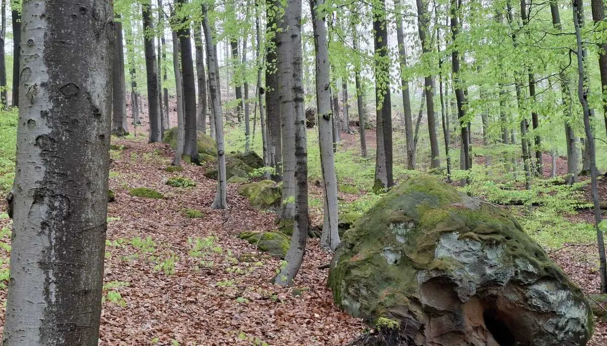 © DAV Sektion Paderborn