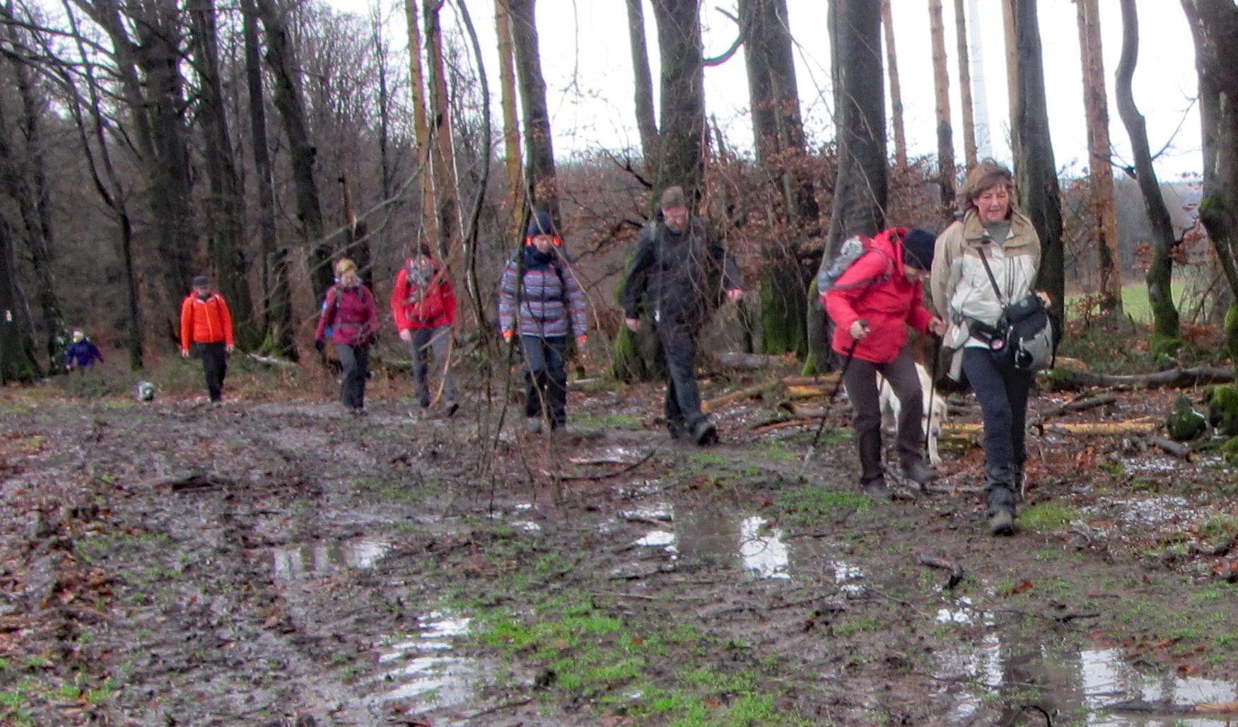 Wanderer | © Kockmann