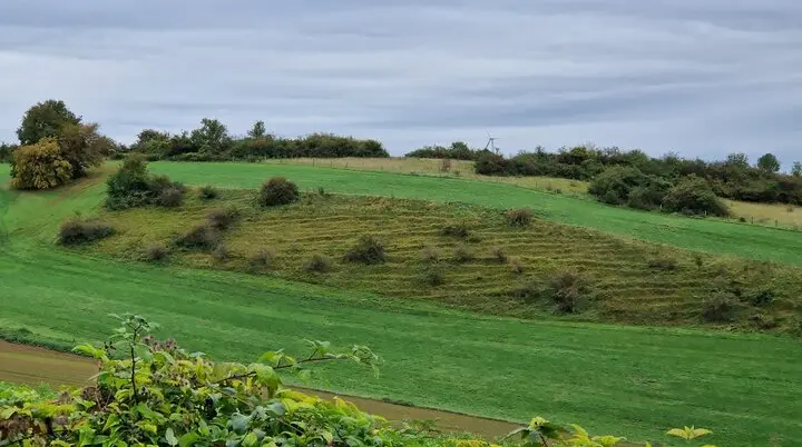 Viehgangeln | © Peter Fuest