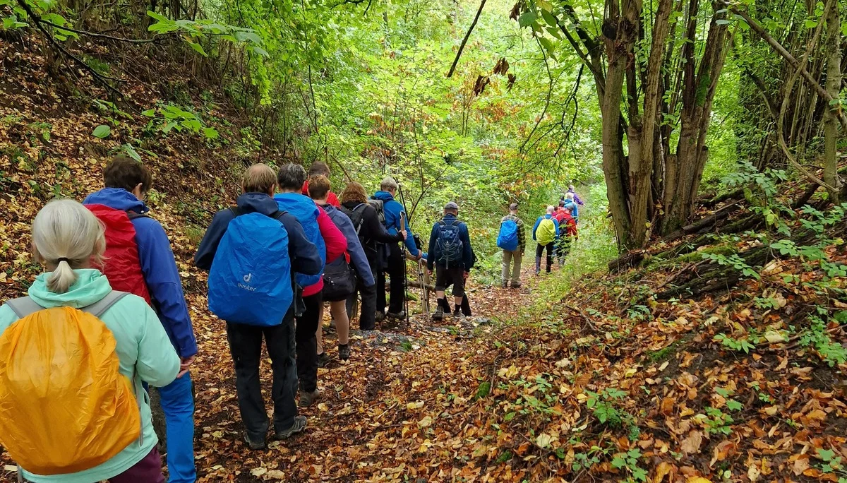 Hohlweg | © Peter Fuest