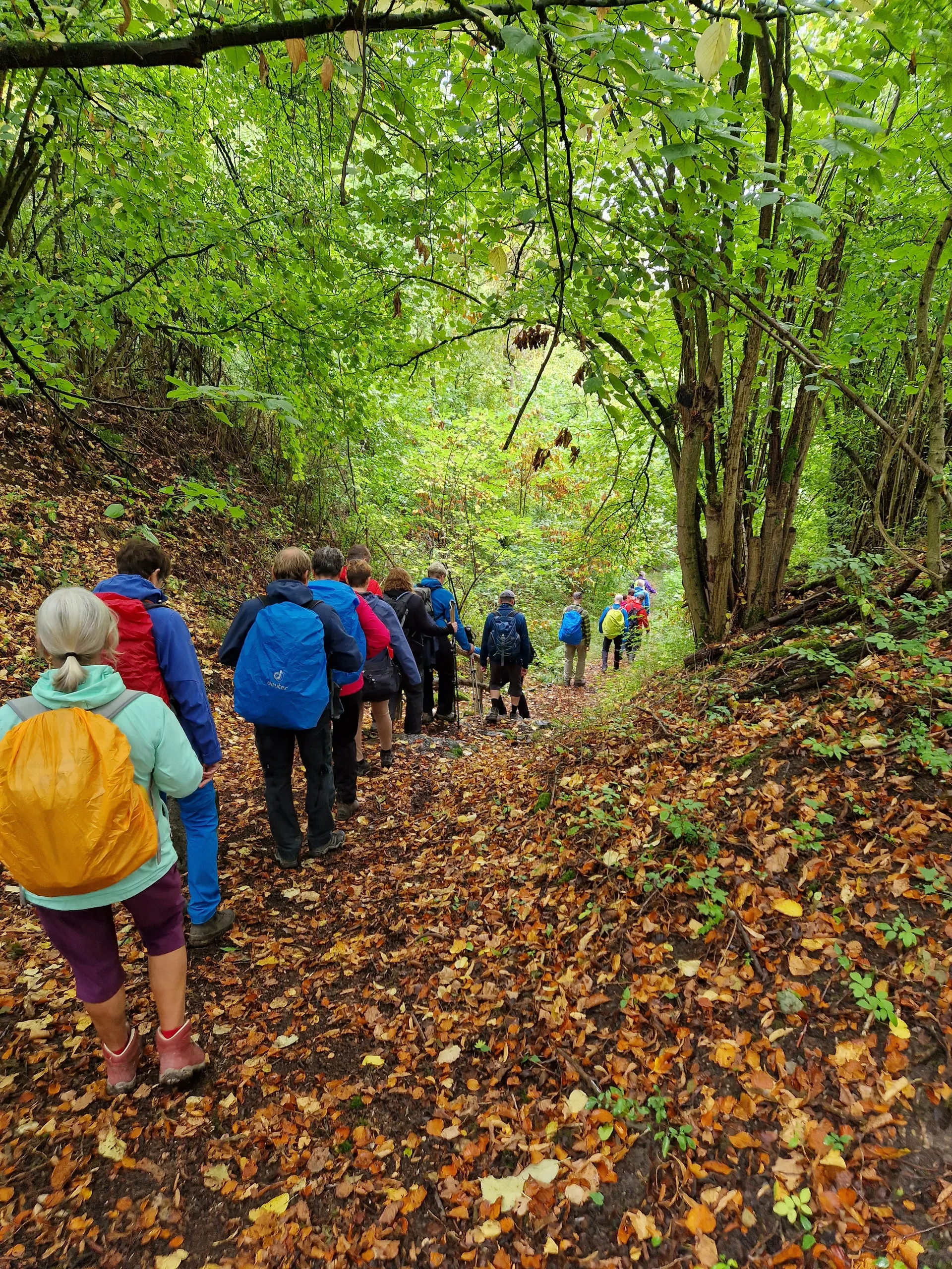 Hohlweg | © Peter Fuest