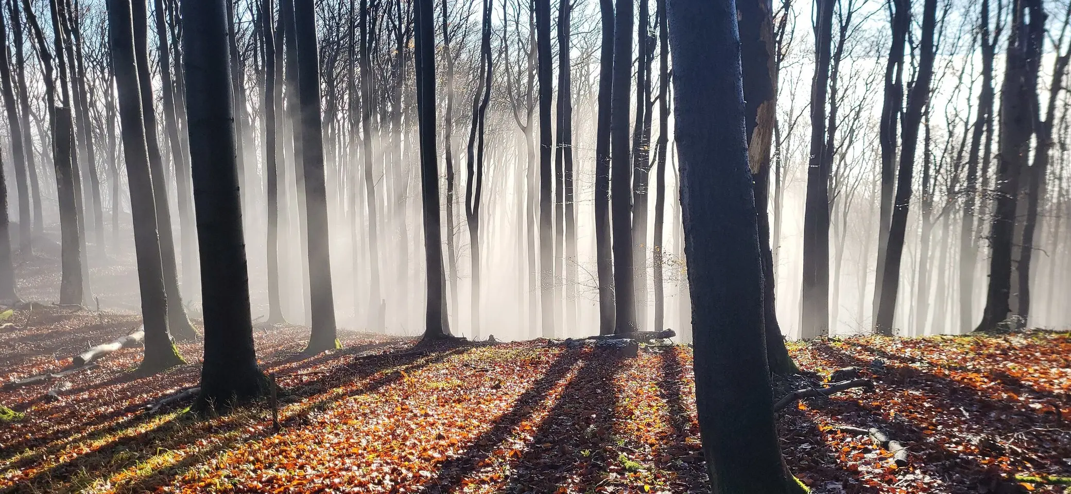 © DAV Sektion Paderborn