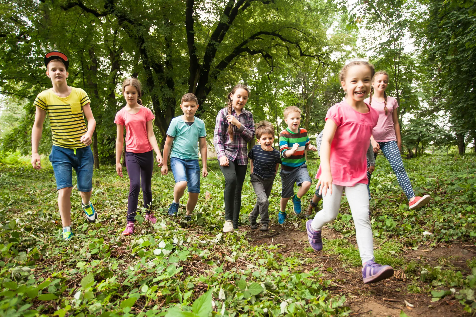 Viele Kinder wandern lachend durch ein Waldgebiet | © Oksix / Adobe Stock
